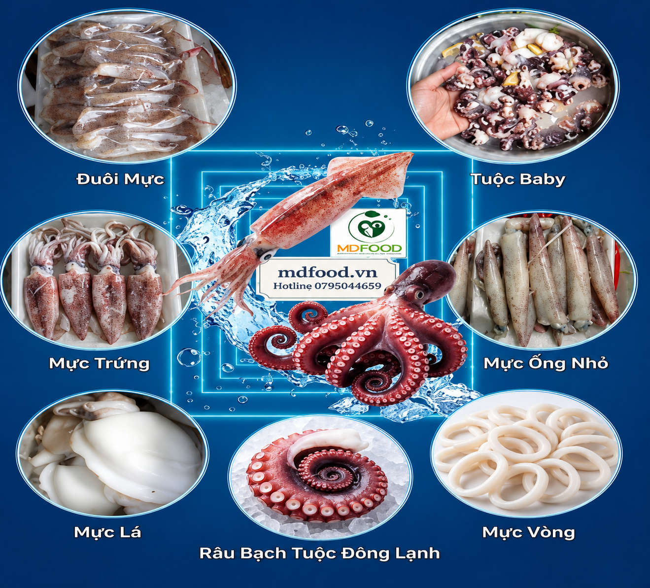 Mực và bạch tuộc